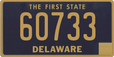 DE license plate 60733