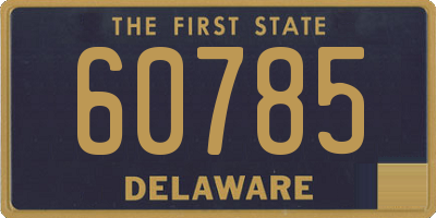 DE license plate 60785