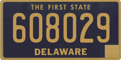 DE license plate 608029