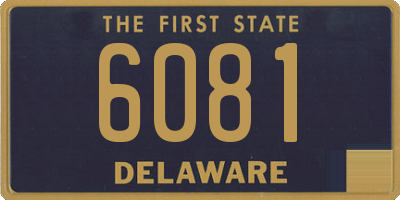 DE license plate 6081