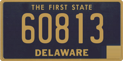 DE license plate 60813