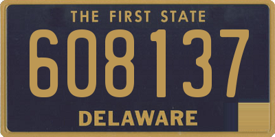 DE license plate 608137