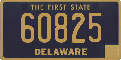 DE license plate 60825