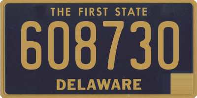 DE license plate 608730
