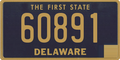 DE license plate 60891