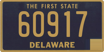 DE license plate 60917