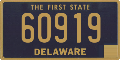 DE license plate 60919