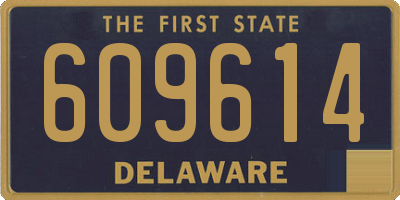 DE license plate 609614