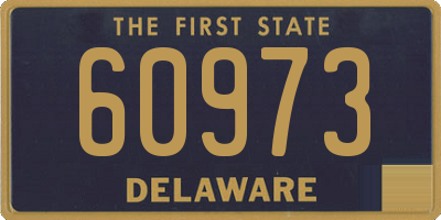 DE license plate 60973