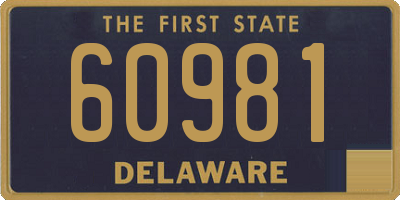 DE license plate 60981