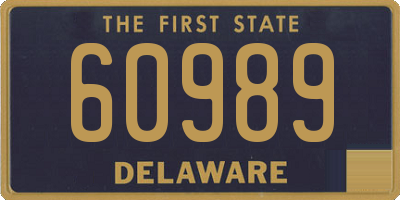 DE license plate 60989