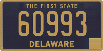 DE license plate 60993