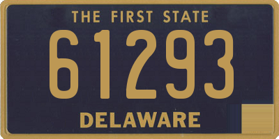 DE license plate 61293