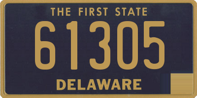 DE license plate 61305