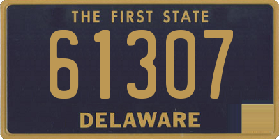 DE license plate 61307