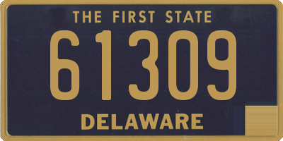 DE license plate 61309