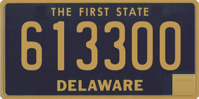 DE license plate 613300