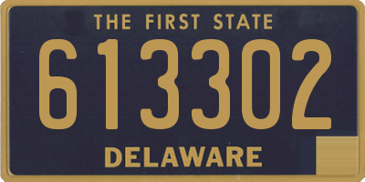 DE license plate 613302