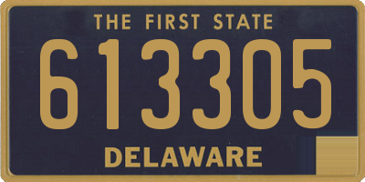 DE license plate 613305