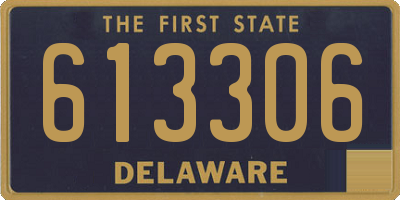 DE license plate 613306