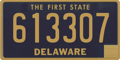 DE license plate 613307