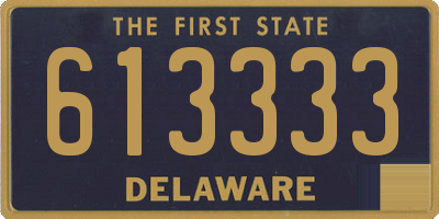 DE license plate 613333