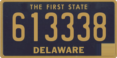 DE license plate 613338