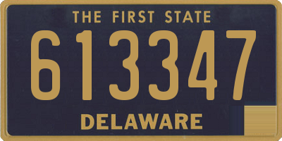 DE license plate 613347