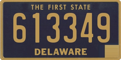DE license plate 613349
