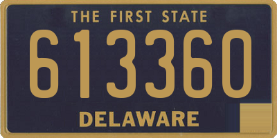 DE license plate 613360