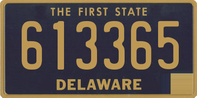 DE license plate 613365