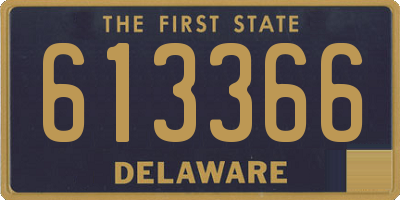 DE license plate 613366