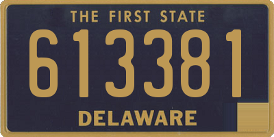 DE license plate 613381