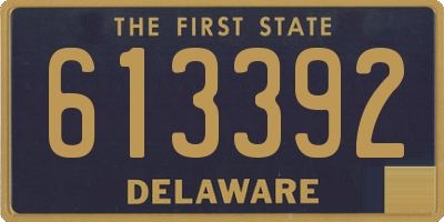 DE license plate 613392