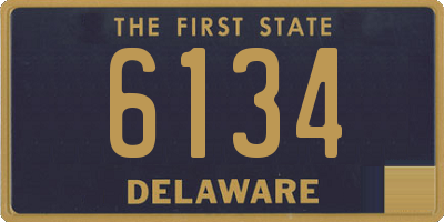 DE license plate 6134
