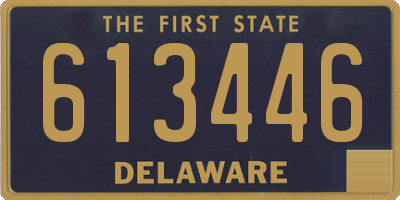 DE license plate 613446