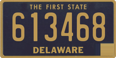 DE license plate 613468