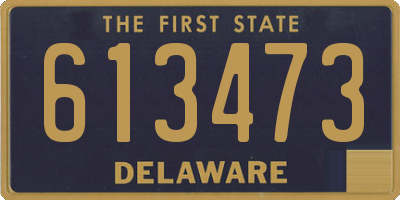DE license plate 613473