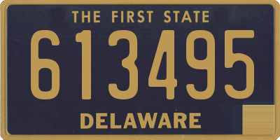 DE license plate 613495