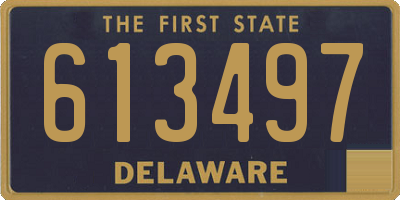 DE license plate 613497