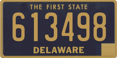 DE license plate 613498