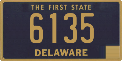 DE license plate 6135