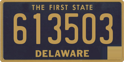 DE license plate 613503