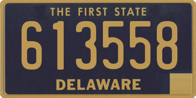 DE license plate 613558