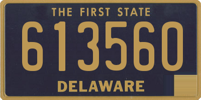 DE license plate 613560
