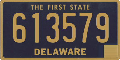 DE license plate 613579