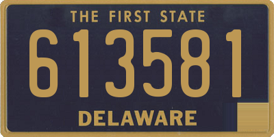 DE license plate 613581
