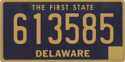 DE license plate 613585