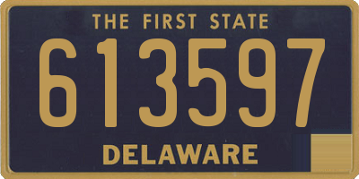DE license plate 613597