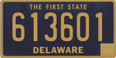 DE license plate 613601